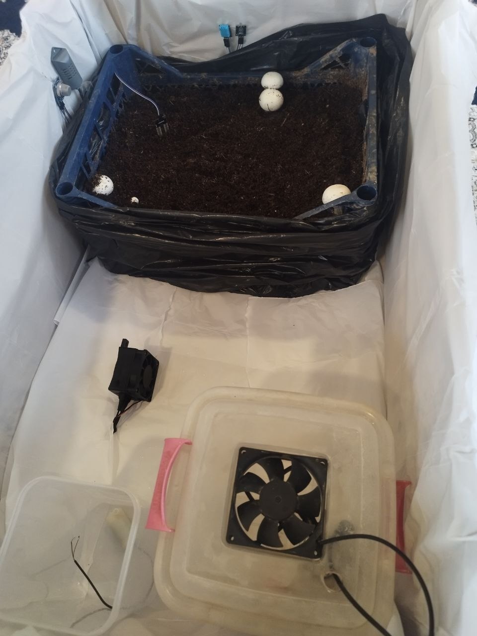 صورة مشروع Smart Monitoring System of Mushroom Cultivation