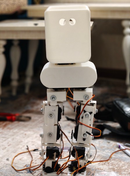 صورة مشروع Design and Manufacturing of a Diminutive Bipedal Robot