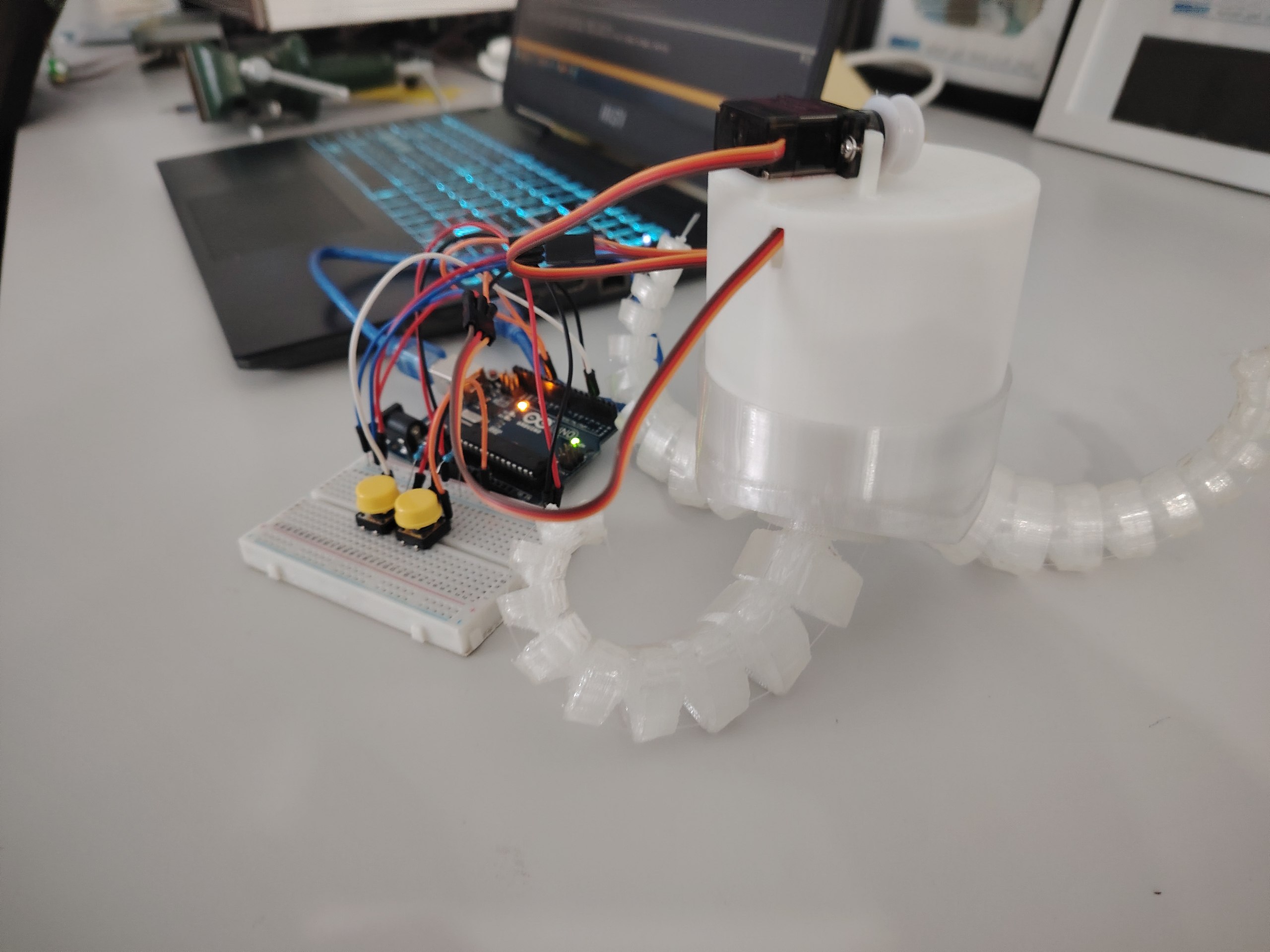 صورة المشروع: Enhanced Morphological Grasping for Fruit Harvesting: Integrating Directional Nano-Adhesion with Logarithmic Spiral Soft Robots