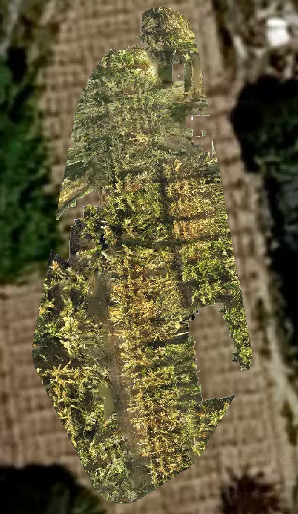 صورة المشروع: Sanabel A Smart System for Plant-Health Monitoring with Artificial Intelligence