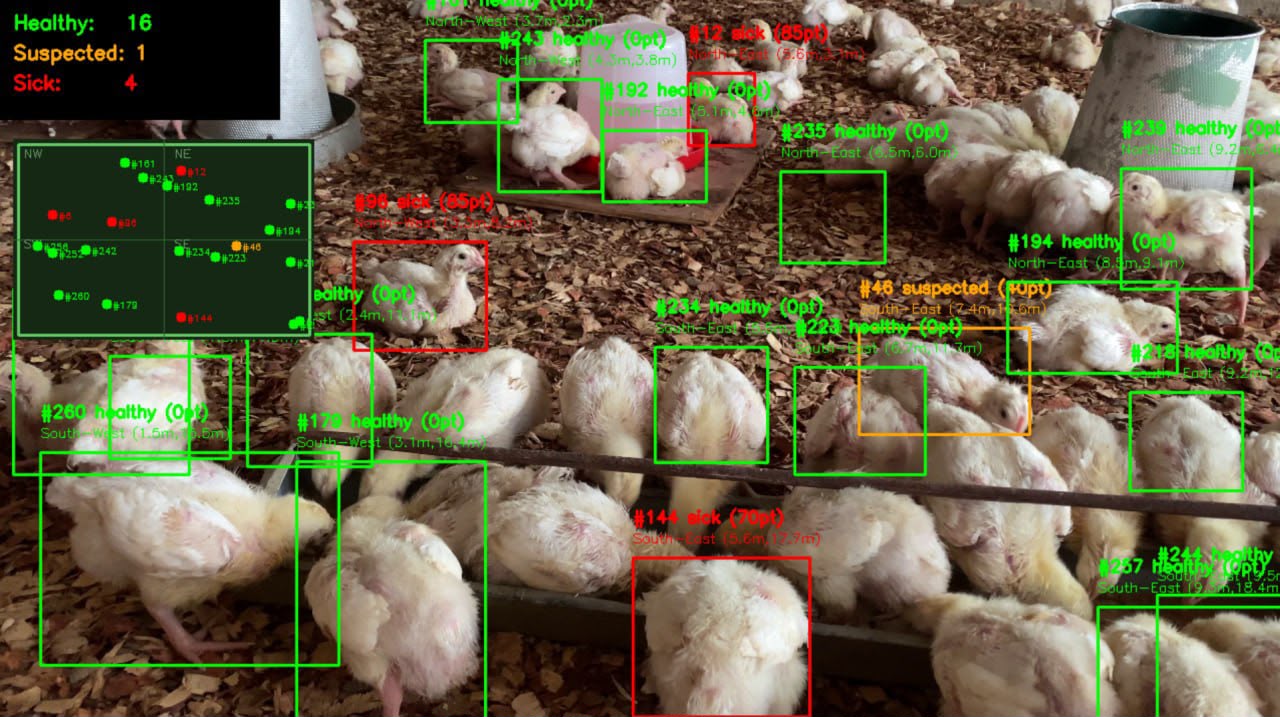 صورة مشروع AI-Enabled Mobile Robot for Early Disease Detection in poultry