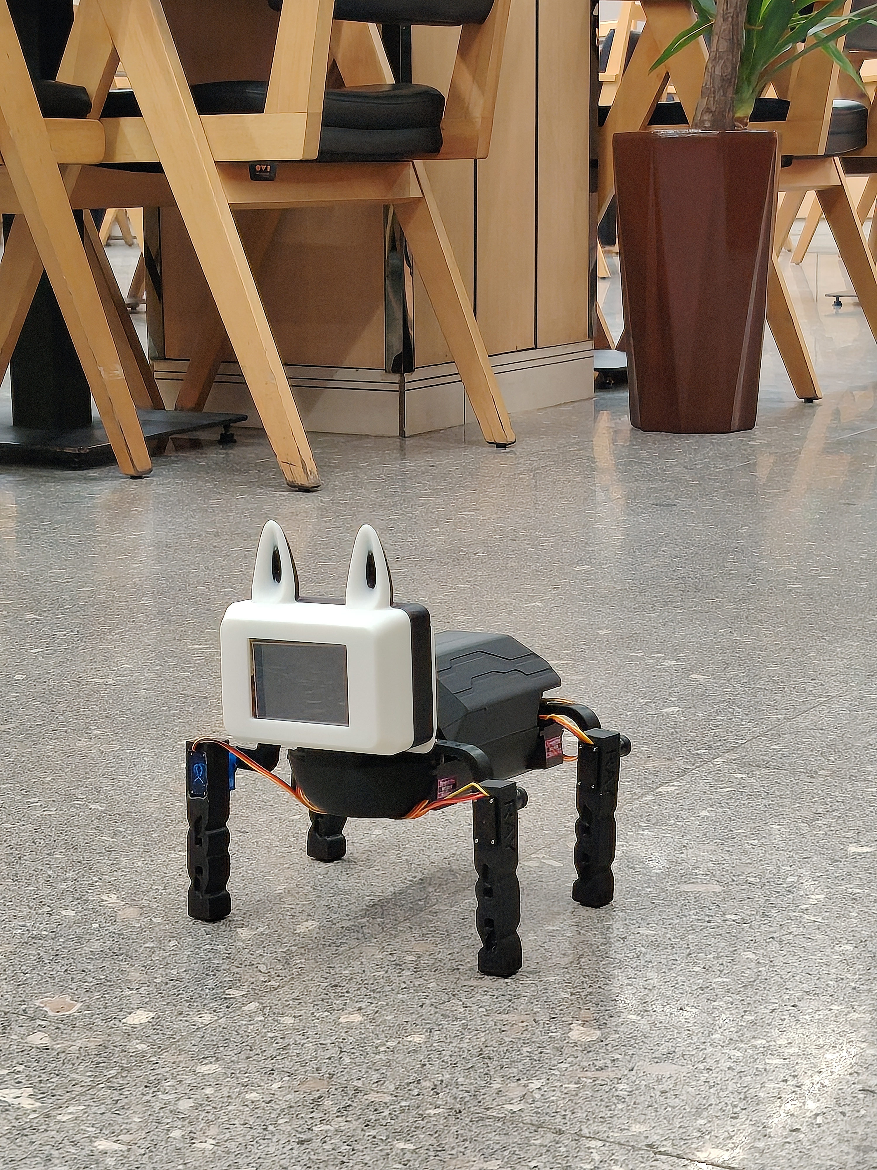 صورة مشروع Ray: An Interactive Iraqi Arabic-Speaking Quadruped Robotic Cat